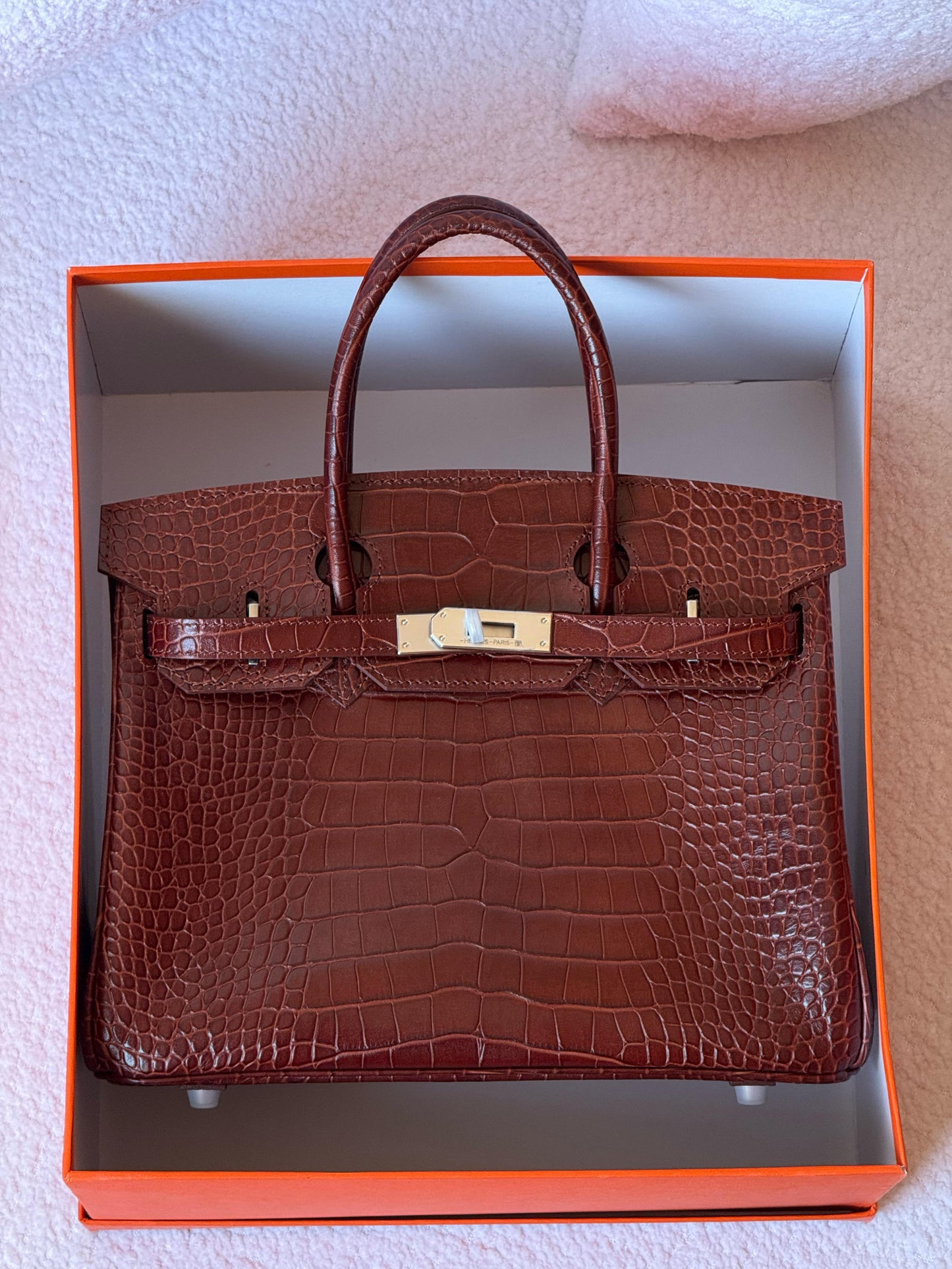 Hermes Birkin croc