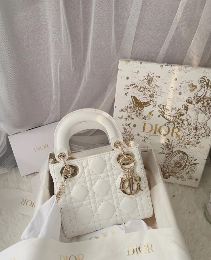 Dior Purse